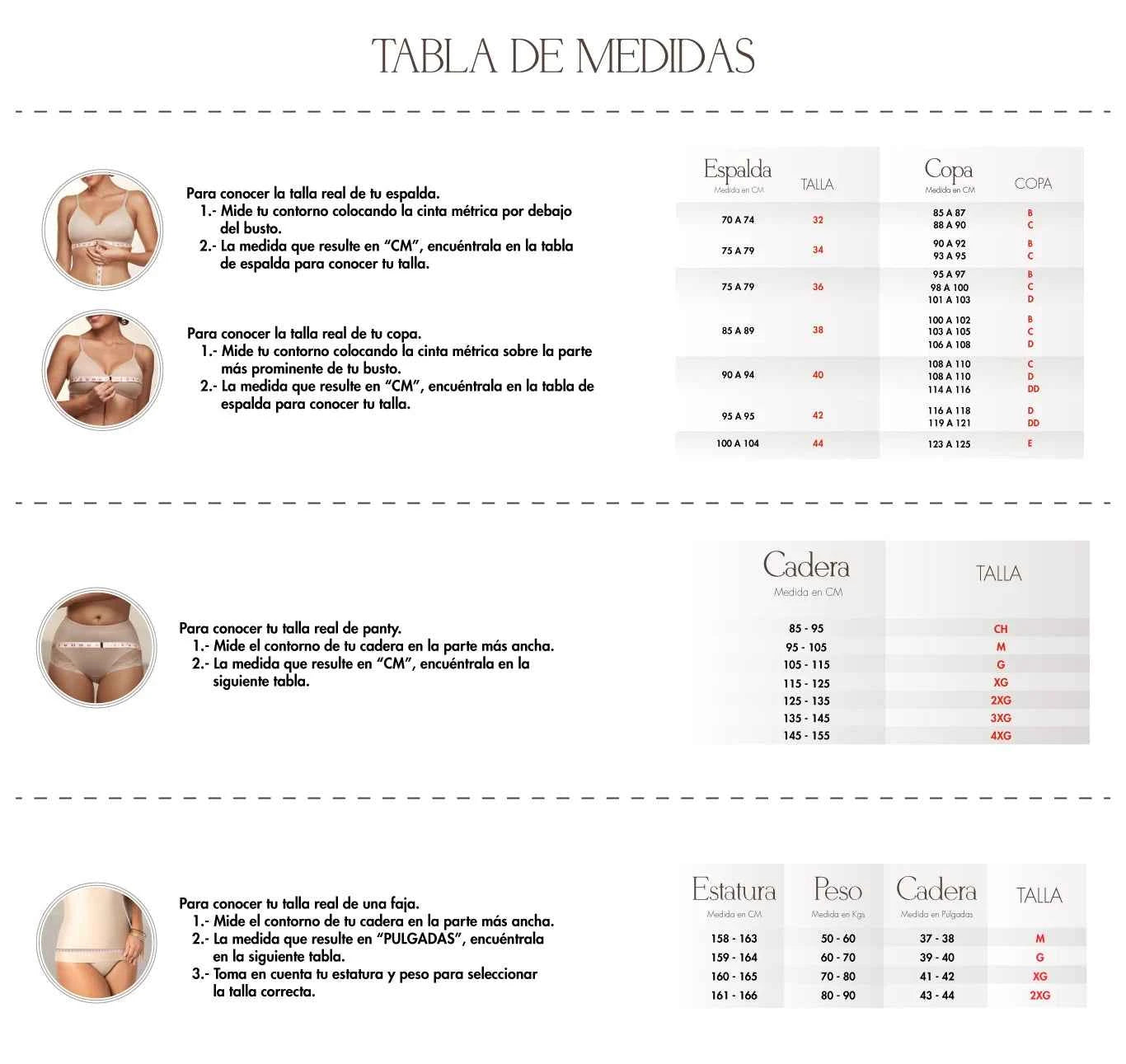 Berlei Panty Corte Fránces Clean Cut Mod. 8506 (PACK DE 3)